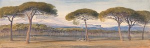 Vue des bois de pins au-dessus de Cannes - Edward Lear